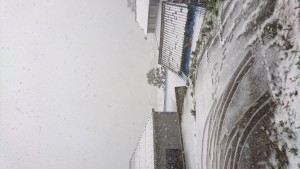 DSC_0042